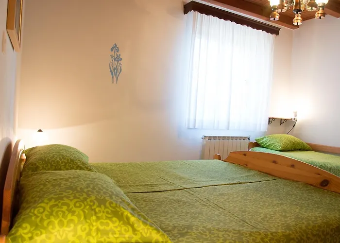 Ivancic Apartamento *